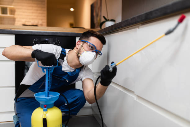 Best Affordable Pest Control Services  in North Bethesda, MD