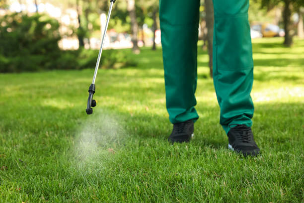 Flea Control Services in North Bethesda, MD