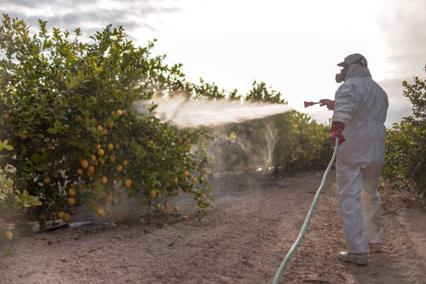 Best Best Pest Control Companies  in North Bethesda, MD