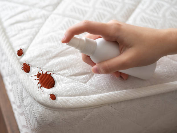 Best Residential Pest Control  in North Bethesda, MD