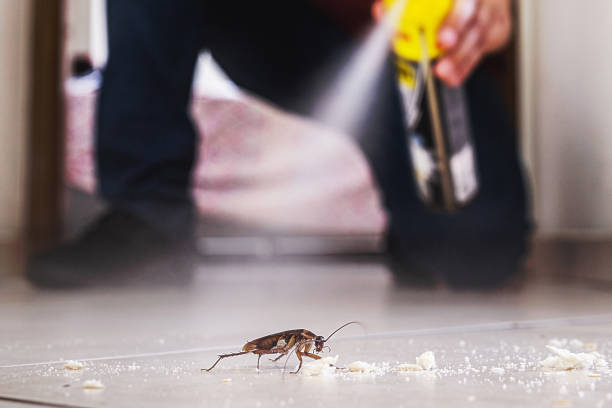 Best Bed Bug Extermination  in North Bethesda, MD