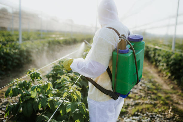 Best Wasp Removal Services  in North Bethesda, MD